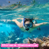 snorkelen op bonaire snorkelen op bonaire